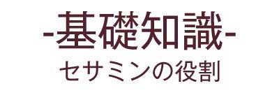 -基礎知識-セサミンの役割